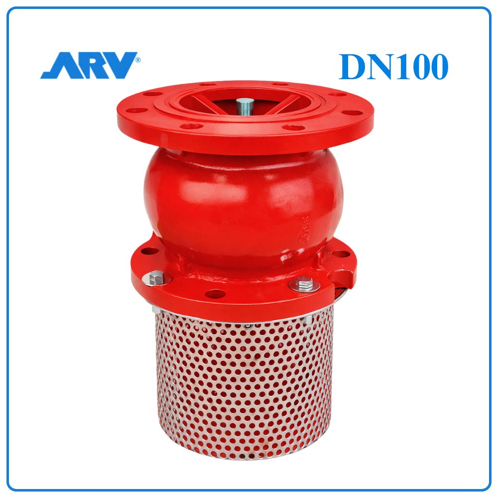 Rọ Bơm ARV DN100