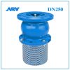 Rọ Bơm ARV DN250