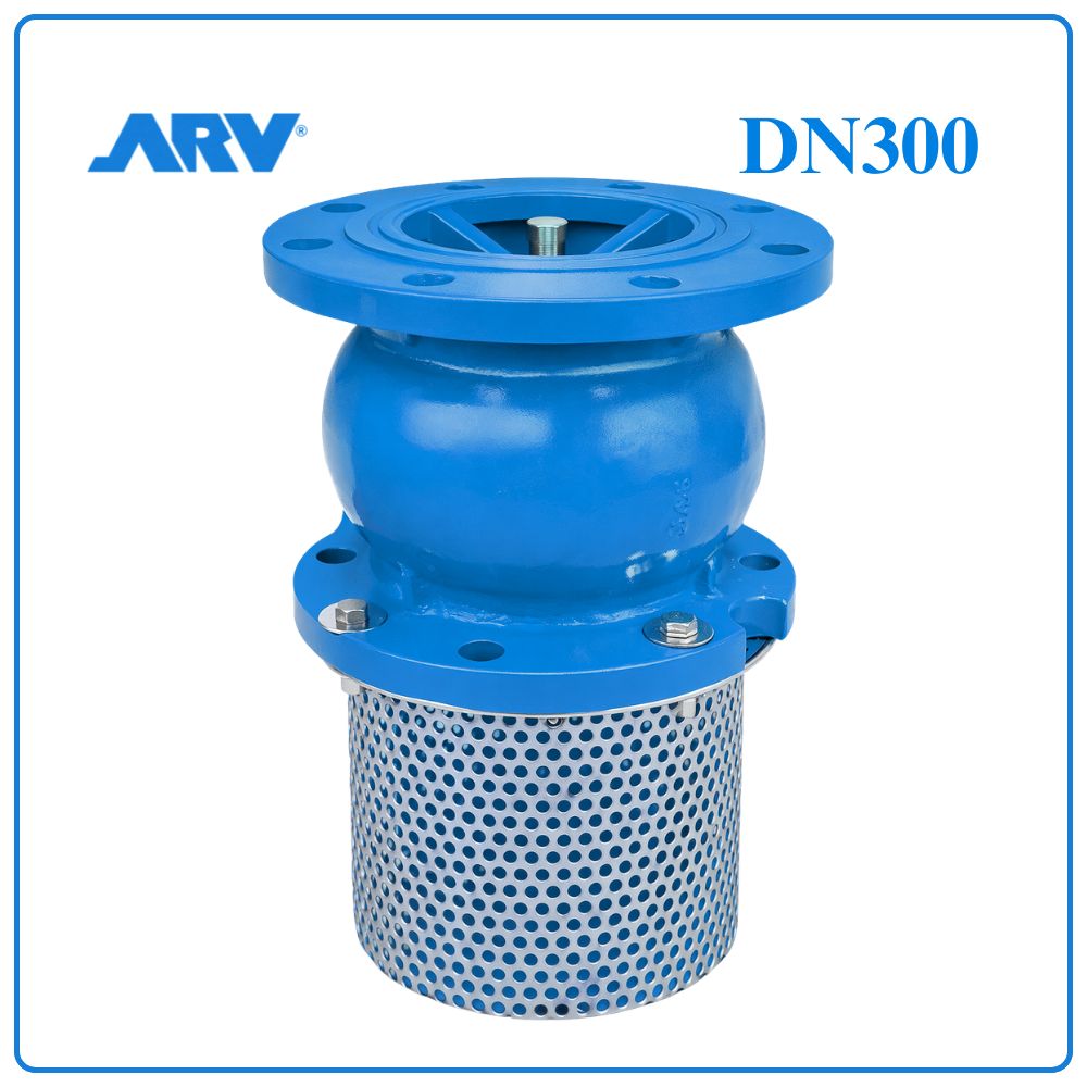Rọ Bơm ARV DN300