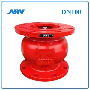 Van 1 Chiều Lò Xo ARV DN100