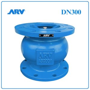 Van 1 Chiều Lò Xo ARV DN300