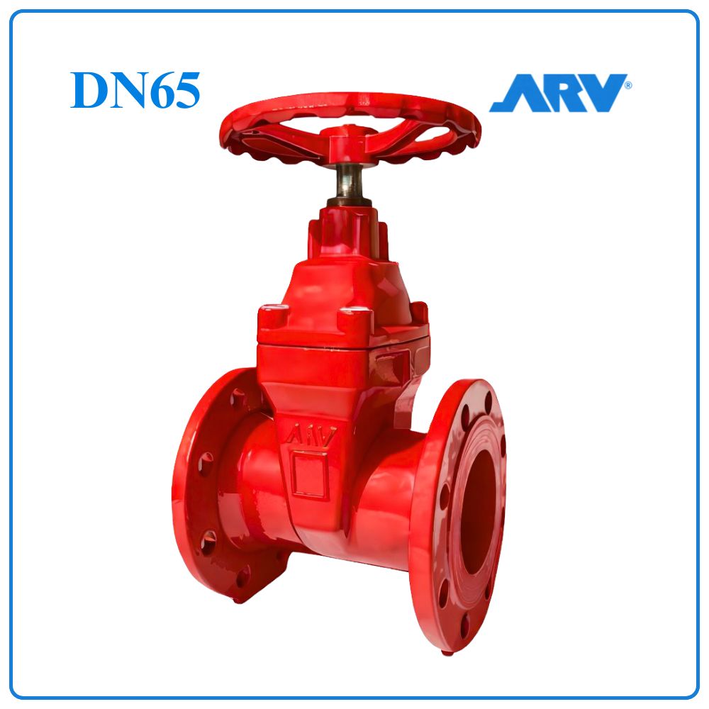Van Cổng Ty Chìm ARV DN65