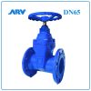 Van Cổng Ty Chìm ARV DN65