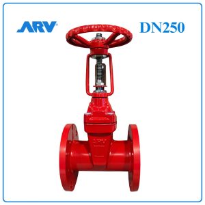 Van Cổng Ty Nổi ARV DN250