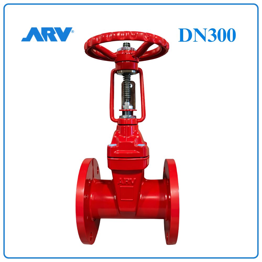 Van Cổng Ty Nổi ARV DN300