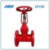Van Cổng Ty Nổi ARV DN50